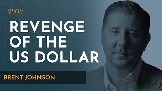 Revenge of the Dollar amp the Meltdown in Global Markets  Brent Johnson [upl. by Enixam]