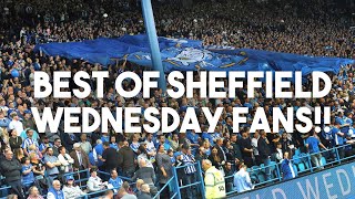 THE BEST OF SHEFFIELD WEDNESDAY FANS [upl. by Salokcin902]