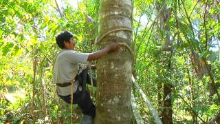 quotEl Sabor de la Naturaleza Áreas Naturales Protegidas para la Vidaquot [upl. by Rosalind939]