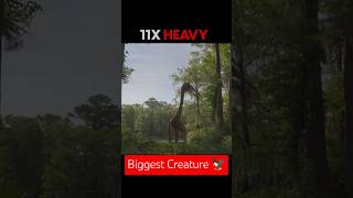 ⚠️The BIGGEST Flying Creature That Ever Existed thegauravthakurshow facts science [upl. by Eusebio]