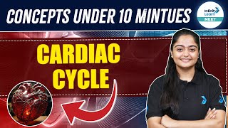 Cardiac Cycle Made Easy Understanding Heart Mechanics  NEET 2025 Biology  Class 11 [upl. by Salisbarry670]