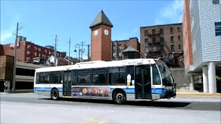 SHERBROOKE QC STS NOVA BUSES IN ACTION [upl. by Marguerite]