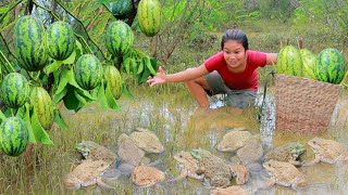 survival in forest  Women Found frog and Watermelon at river  Fried frog Eating delicious [upl. by Anaeel859]