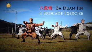 八段锦 · Ba Duan Jin 8 Brocade Exercise Qi Gong [upl. by Krik]