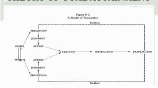 Imogene King  Theory of Goal Attainment [upl. by Biddie]