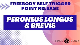 Peroneus Longus and Brevis Self trigger Point Release [upl. by Freeman]