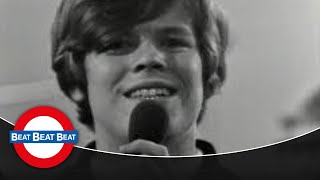 Hermans Hermits  Jezebel 1966 [upl. by Wj]