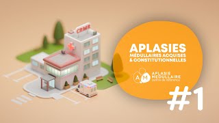 🏥 1 Centre de Référence Maladies Rares Aplasies médullaires acquises et constitutionnelles [upl. by Neehcas]