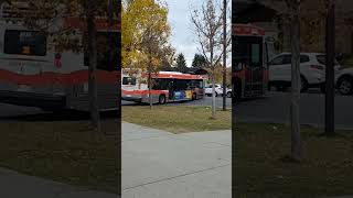 Bus Route 20 Leaving 78 Avenue N Bus Terminal bus calgarytransit transit brt calgary [upl. by Hsizan]