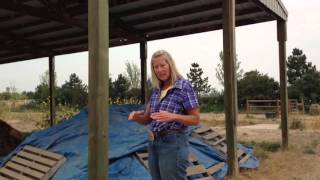 Why Should You Cover a Compost Pile [upl. by Held829]