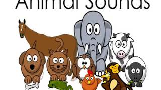 Animal Sounds Names for Kids Children Kindergarten Preschoolers Toddlers Animals Sound Effects [upl. by Emile]