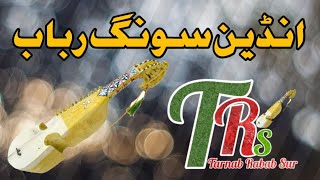 indain Song Rabab Pashto Rabab MangeMera Dill Ye Pokare Aja [upl. by Haerr]