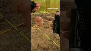 ASLI UMPAN AYAM DI MAKAN PREDATOR GIGI TAJAM fishing [upl. by Novled]