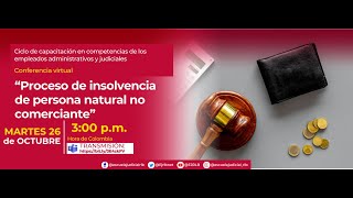 PROCESO DE INSOLVENCIA DE PERSONA NATURAL NO COMERCIANTES [upl. by Pennie]