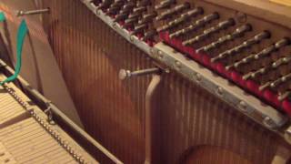 Abenteuerland Pur Cover on Steinway Piano [upl. by Sidney]