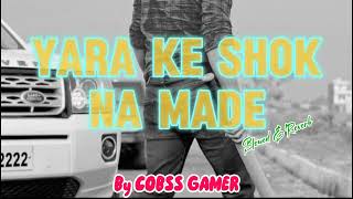 YARA KE SHOK NA MADE Ultra SlowedReverb [upl. by Aillemac633]