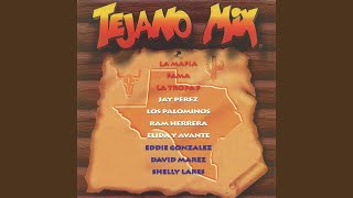 Tejano Mix Radio Edit [upl. by Assiron458]