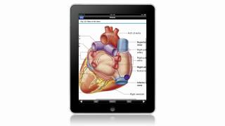 Grays Anatomy for Students for iPad [upl. by Jordain]