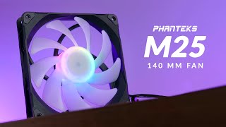 Phanteks M25 140 DRGB Review  The 140mm T30 Alternative [upl. by Crin748]