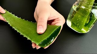 Aloe Vera ist 150mal stärker als Kollagen Stärkt Gelenke Knochen und Muskeln [upl. by Karmen]