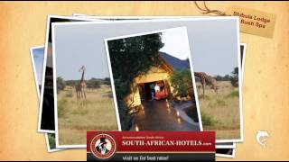 Shibula Lodge Welgevonden Game Reserve [upl. by Silverstein]