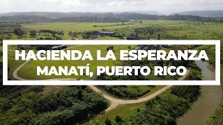 Hacienda La Esperanza Manatí Puerto Rico 4K [upl. by Dewey]