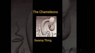 The Chameleons  Swamp Thing 80s goth postpunk [upl. by Gredel]