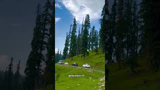 Tum rootha na kro meri Jaan bollywood lovesong nature shorts [upl. by Atiuqel]