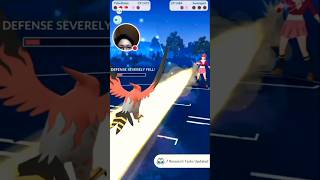 Talonflame brave bird vs Swampert in Sunshine Cup [upl. by Atlas940]