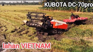 KOMBI HARVESTER KUBOTA DC 70pro lahan Vietnam [upl. by Hobard70]