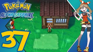 Pokémon Alpha Sapphire  Episode 37  Return To Route 123  Gameplay Walkthrough [upl. by Gautious981]