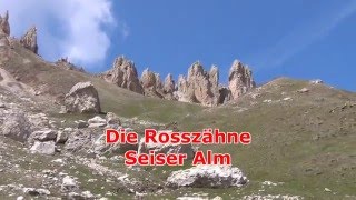 Rosszähne Seiser Alm [upl. by Amlez283]