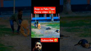 Dogs vs Fake Tiger Funny video 🐯🐅 funny pets dog pranks funnypost [upl. by Aihseuqram]