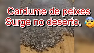 Após cabras andarem em círculosaparece peixes saindo da terra no deserto [upl. by Eetnahc]