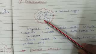 Enzyme Immobilization [upl. by Elesig639]