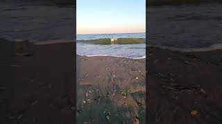 Calming sea waves short video ❤️🌊 calming sea waves [upl. by Stochmal]