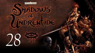 Neverwinter Nights Shadows of Undrentide  28  Tomb Raiders [upl. by Arela74]