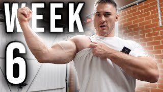 Powerlifting Training Log  Upper Body Accessories  Week 6 [upl. by Weider]