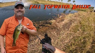 Delta Safari Fall Topwater Bassin  Skirted Frog  Wopper Plopper [upl. by Elle]