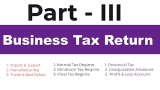 Filing Your First Professional Business Tax Return Everything You Need to Know Part III [upl. by Elianora]