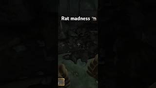 Rats 🐀 outnumber MAN videogames oblivion rat meme memes [upl. by Dympha924]