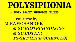 Polysiphonia life cycle for english medium [upl. by Aicenav]