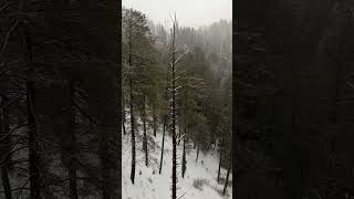 Nathia Gali stay in winter [upl. by Nemzaj]