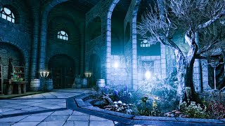 Skyrim  ArchMage Quarters Ambiance footsteps wind white noise [upl. by Hanala]