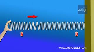 Longitudinal Wave [upl. by Nigel]