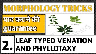 MORPHOLOGY OF PLANT  LEAF TYPES PHYLLOTAXY VENATION SHORTTRICKSreneetneetncert shorttricks [upl. by Anire916]