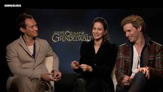 Eddie Redmayne Jude Law and Katherine Waterson love THIS about Fantastic Beasts fans [upl. by Lecram]