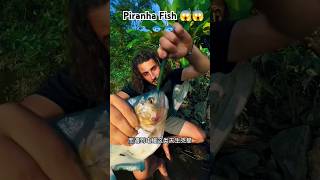 Piranha bites stick 😱😱 ytshorts fishing piranha [upl. by Digirb961]