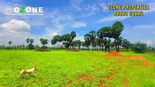 15 Acres Farmland for Sale in Nachipalayam Near  200mts Velathavalam Bypass Road  investment land [upl. by Hume]