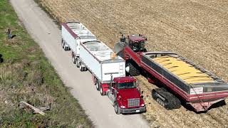 CANADIAN FARMER  BIG GUNS  HUGE Geringhoff 16 row corn head on a MONSTER Claas Lexion 8700 combine [upl. by Zwiebel]